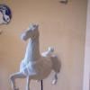 Galoppierendes Pferd