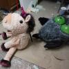 Eule und Einhorn 