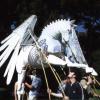 Pegasus
