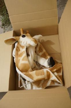Giraffe zum Klappen