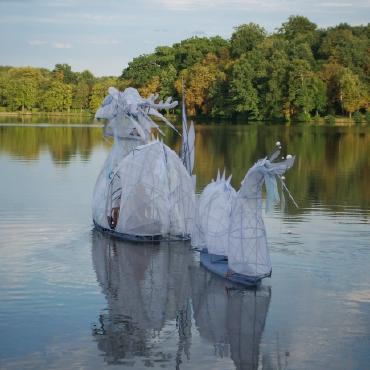 Wasserdrache